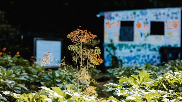 Beardsley Farm in Knoxville, Tennessee