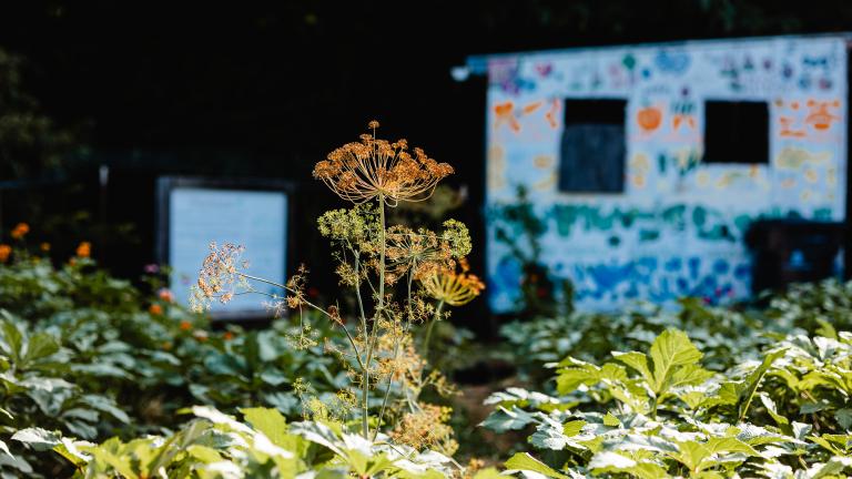Beardsley Farm in Knoxville, Tennessee