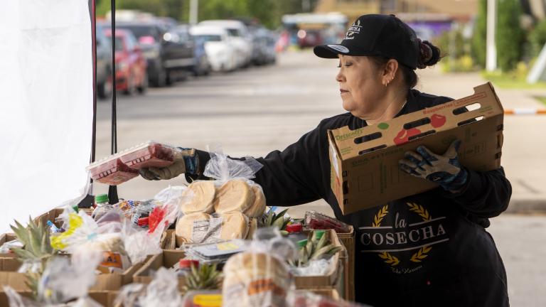 Woman organizing food at a food distribution site