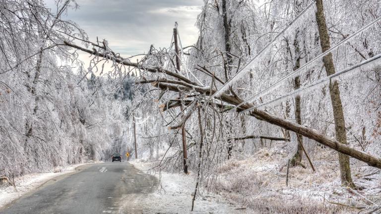 Ice-covered trees suspended on power line over road