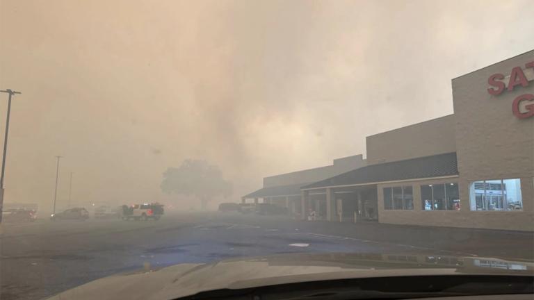 Wildfires burn by a shopping center in Valdosta, Georgia