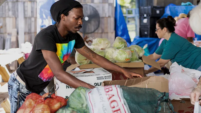 People peruse vegetables at a Florida farmer's market. 