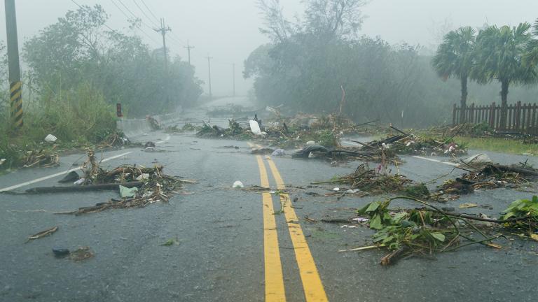 A two-lane road strewn with tree limbs in a storm