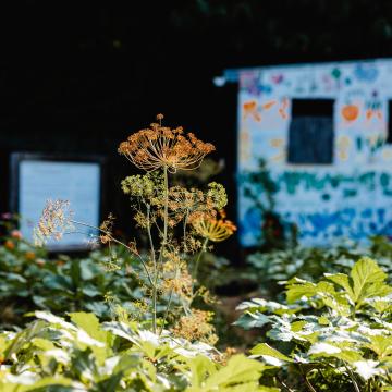 Beardsley Farm in Knoxville, Tennessee