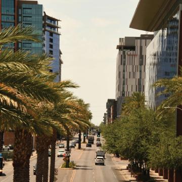 Phoenix street with palm trees