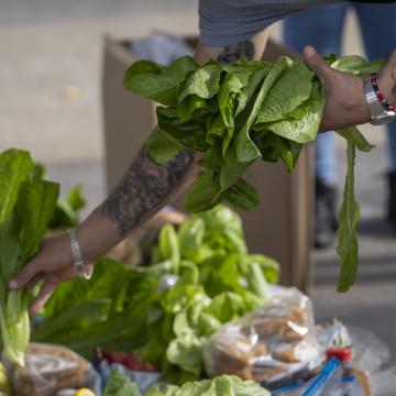 Setting up a food distribution table