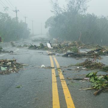 A two-lane road strewn with tree limbs in a storm