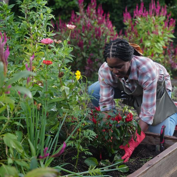 Community Resiliency