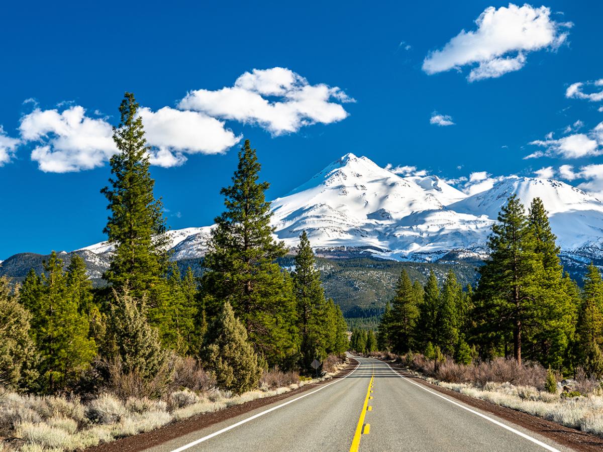Mount Shasta