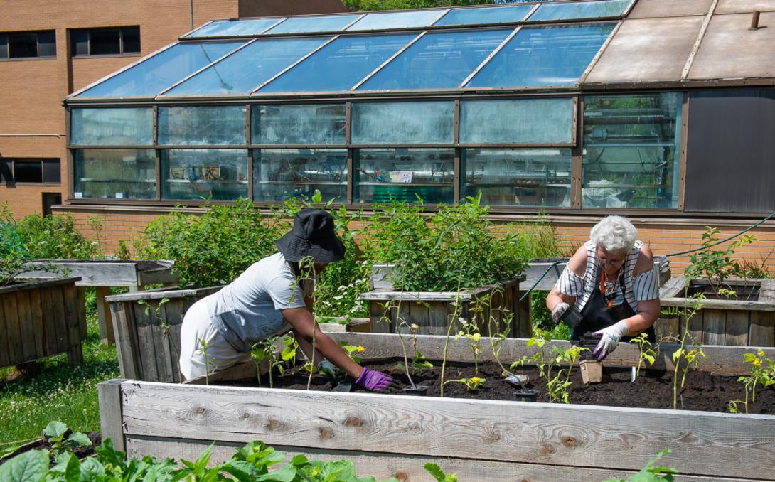 Two United Way representatives working in a community-style garden