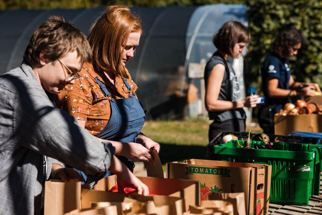 Volunteers packing boxes at Beardsley Community Farm